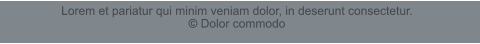 Lorem et pariatur qui minim veniam dolor, in deserunt consectetur. © Dolor commodo